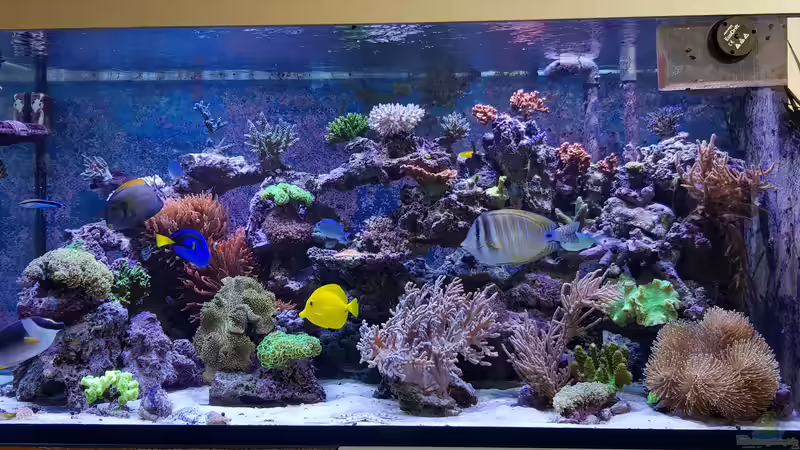 neu eingerichtet von Wolfgang K. (43)