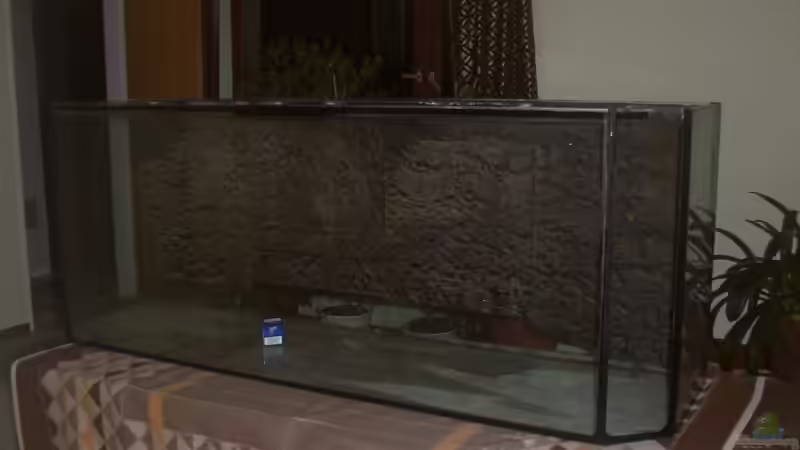 Neu Eingetroffen von Irene Kotowski (2)