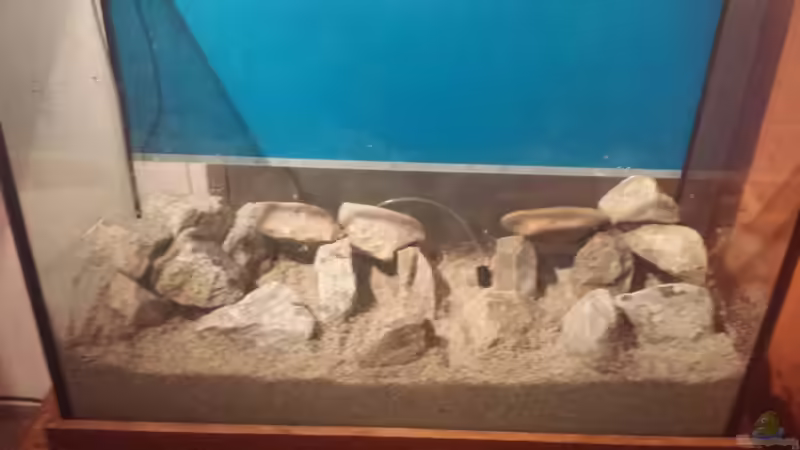 Neu-Einrichtung nach dem reinigen von Thomas Riemenschneider (18)