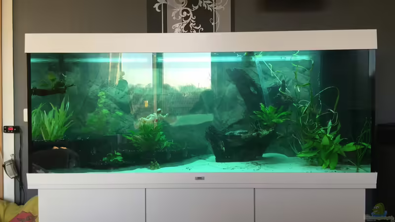 Neu gefüllt und leicht grün durch Desitropfen von Olaf Brandt (9)