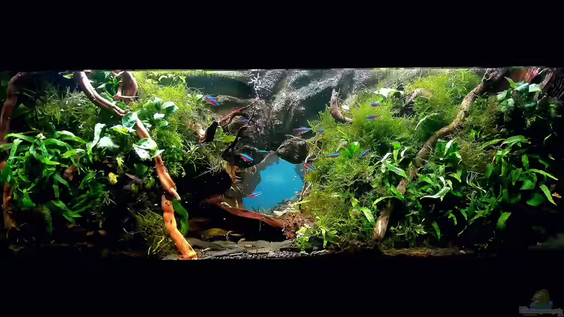 Neu gestaltet und wieder mehr Platz!  von Bermuda 3eck (5)