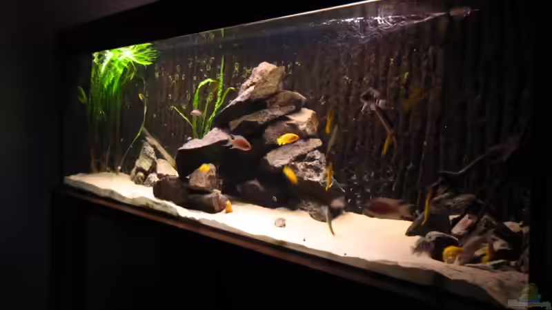 Neu gestaltet von Haens84 (6)