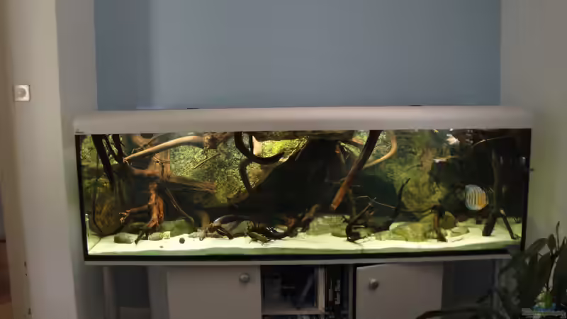 Neu mit Holz von echetesmoorkienholz.de am 13.4.2011 von Laura (21)