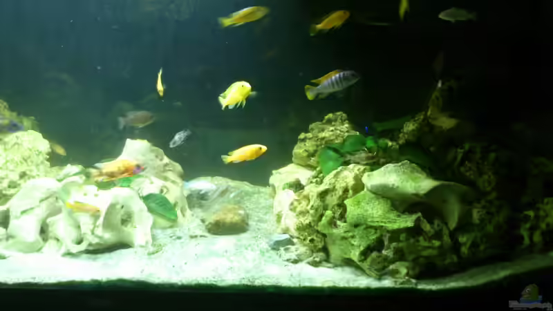 Neu mit SunaEco von Alsi (21)