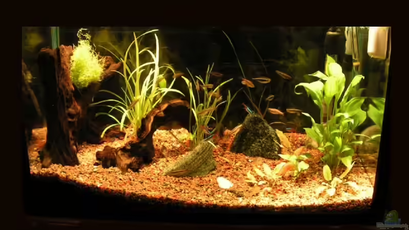 Neu nach Umzug von Manuela Vogt (2)