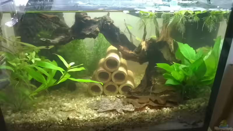 Neu umgestaltet von garnelchen (2)