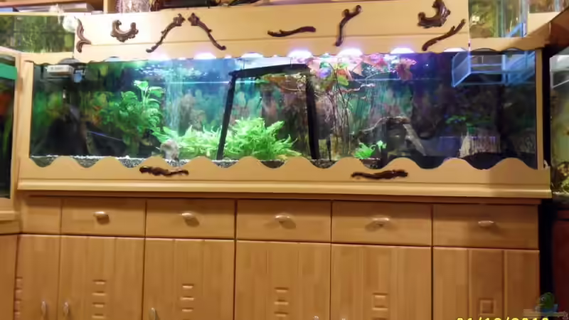 Neu verkleidet seit Nov. 2010   500 Liter von Ulrich Sauerhering (81)