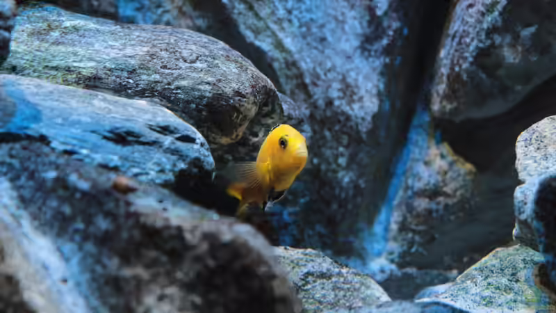 neu vom 29.09.2014 von Marco O. (20)