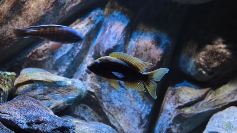 neu vom 29.09.2014 von Marco O. (22)