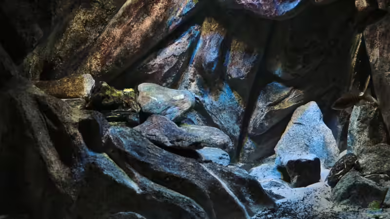 neu vom 29.09.2014 von Marco O. (25)