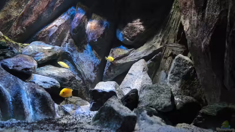 neu vom 29.09.2014 von Marco O. (32)