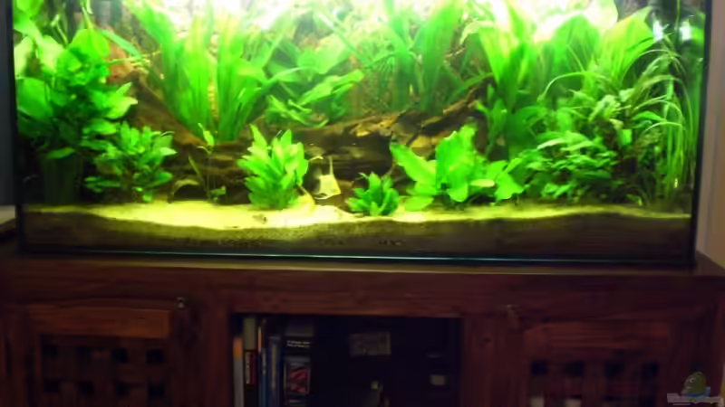 neu von Andreas Haase (5)