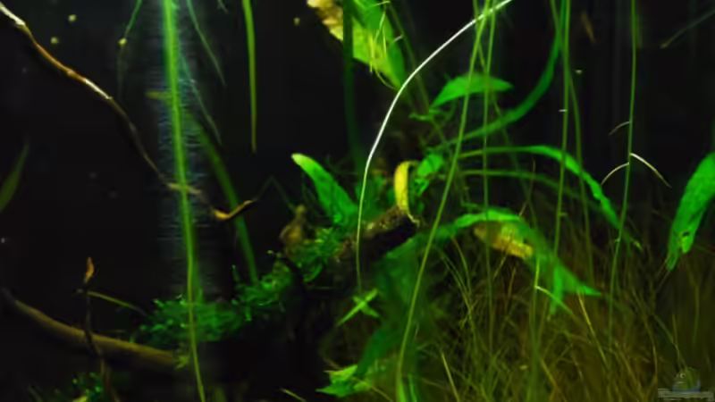 neu von Benjamin Hamann (4)