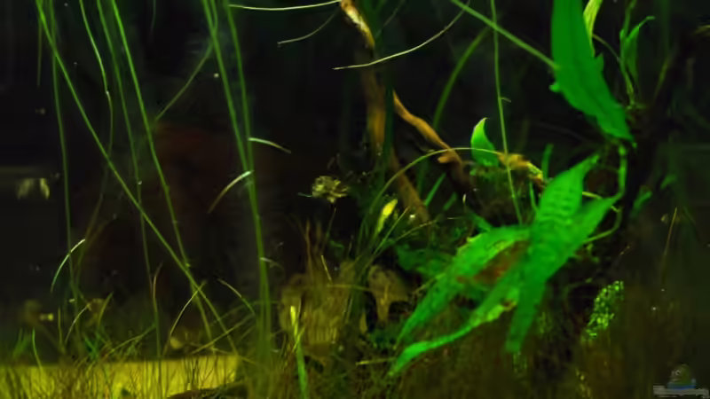 neu von Benjamin Hamann (5)