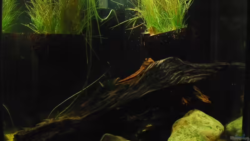 neu von Benjamin Hamann (5)