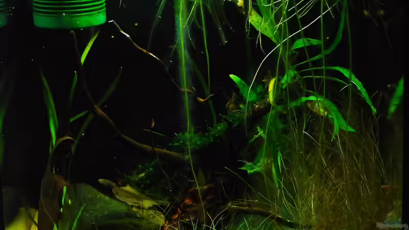 neu von Benjamin Hamann (6)