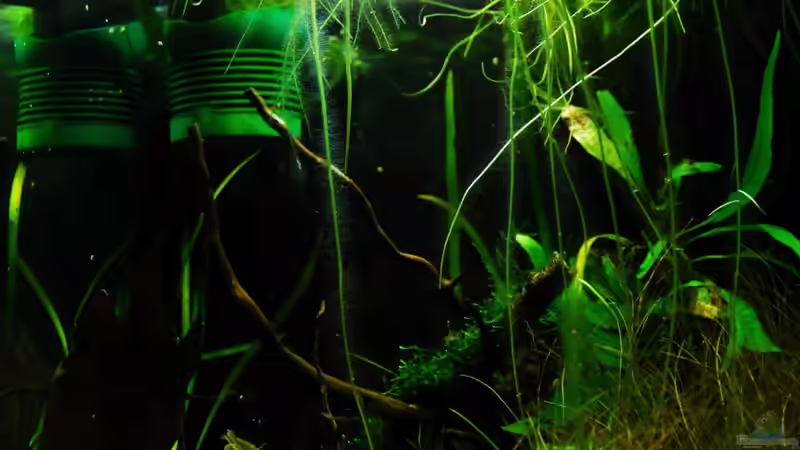 neu von Benjamin Hamann (7)