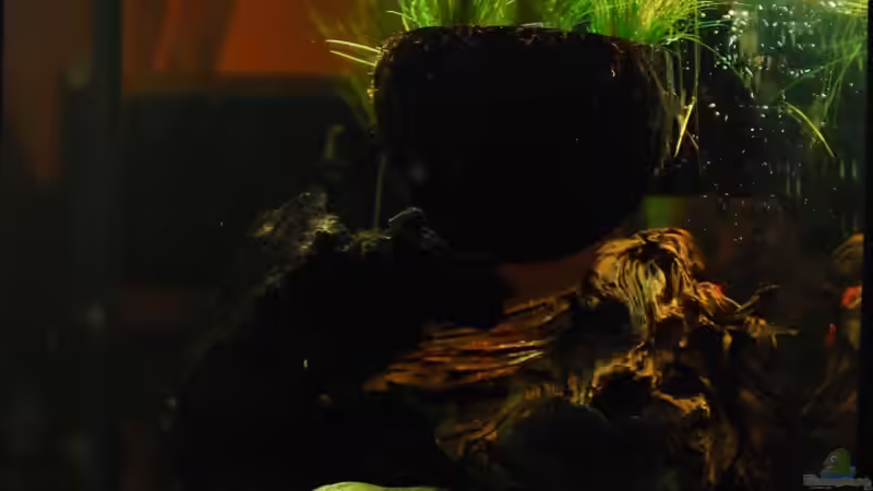 neu von Benjamin Hamann (7)