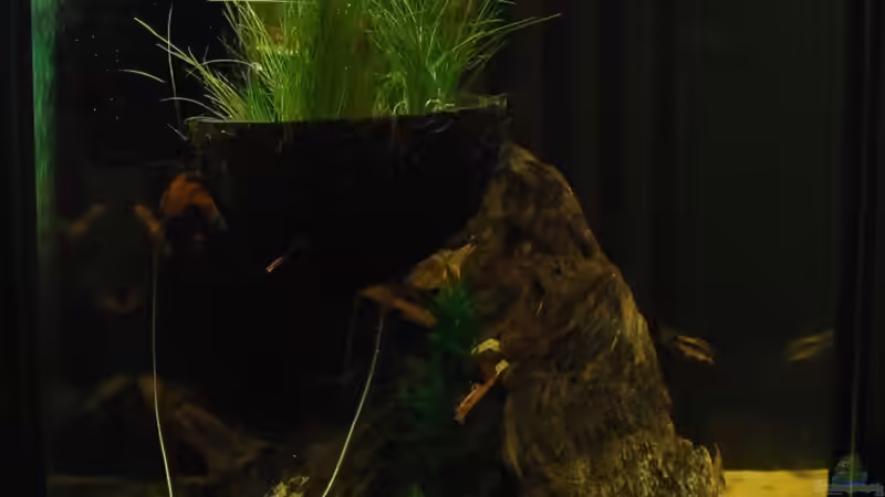 neu von Benjamin Hamann (8)