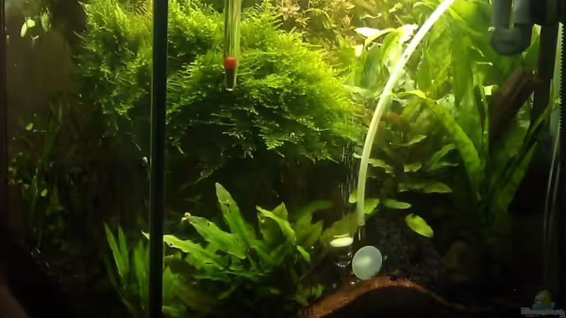 neu von El Hein (30)