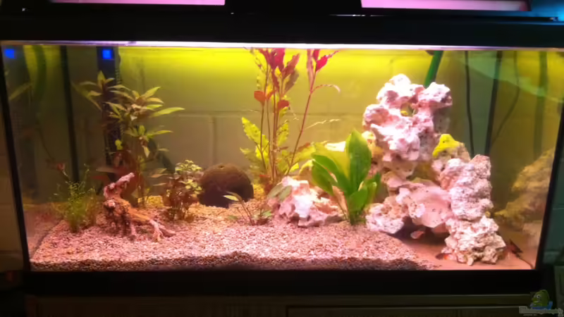 Neu von Patrick S. (3)