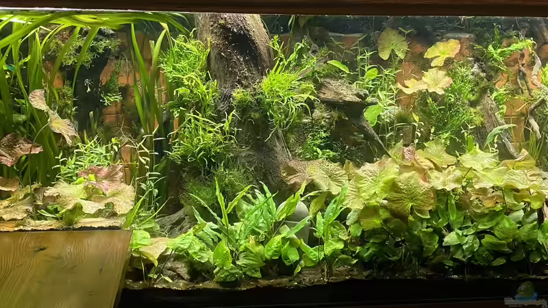 Neubepflanzung abgeschlossen. Jetzt heißt es warten und wachsen. von Lina L. (3)