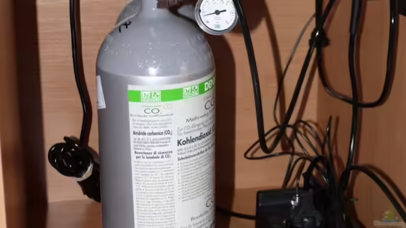 neue 2000g Flasche von Die kleine Meerjungfrau (38)