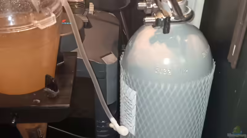 Neue 2Kg CO2 Flasche  von odin 68 (166)