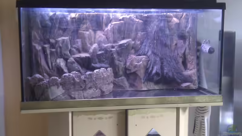 Neue Abdeckung+Rückwand+Terrassen von Svenja Zeidler (3)