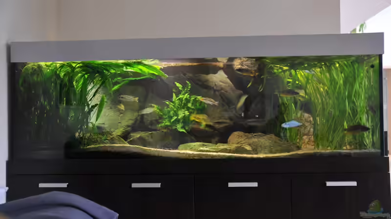 Neue Ansicht 24.10.2010 von Crenii (2)