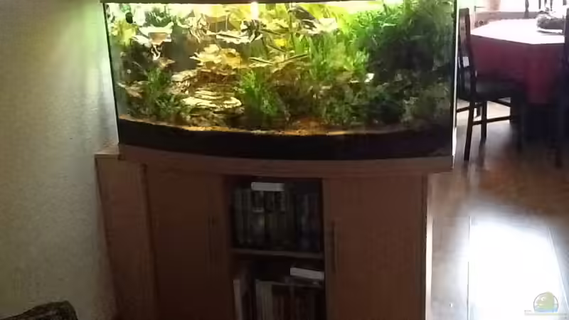 Neue Ansicht von Günter (4)