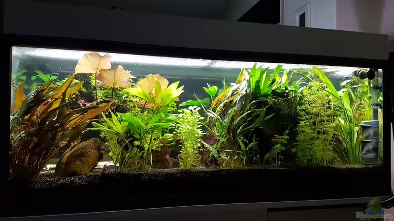 neue Ansicht!! von Sunnyboy_72 (1)