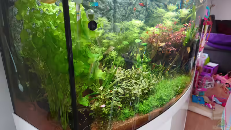 Neue Ansichten  von Stefan von Oettingen (11)