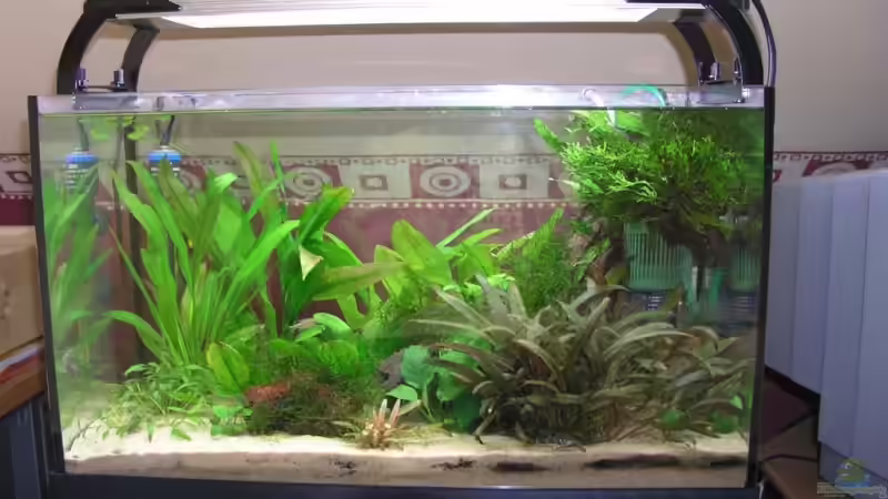 Neue Aufsetzleuchte von BubaFan (2)