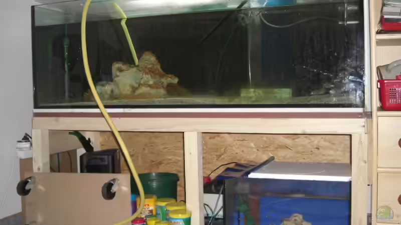 neue Aufzuchtanlage, im großen Becken mittlerweile neue Filterung von Stephan Ascher (28)