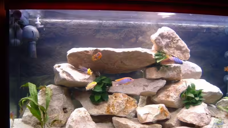 Neue Beleuchtung  von Andreas Gassner (6)