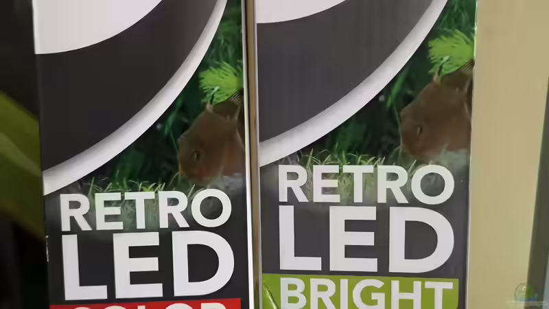 Neue Beleuchtung  von Heike Fuchs (20)