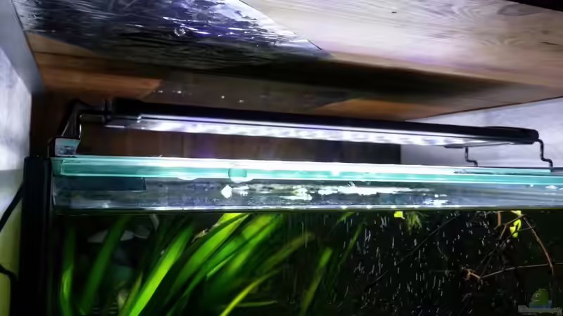 Neue Beleuchtung  von Miss Kasimir (13)