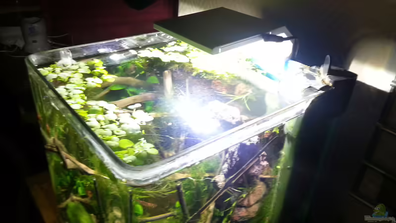 neue Beleuchtung  von Zomic (23)