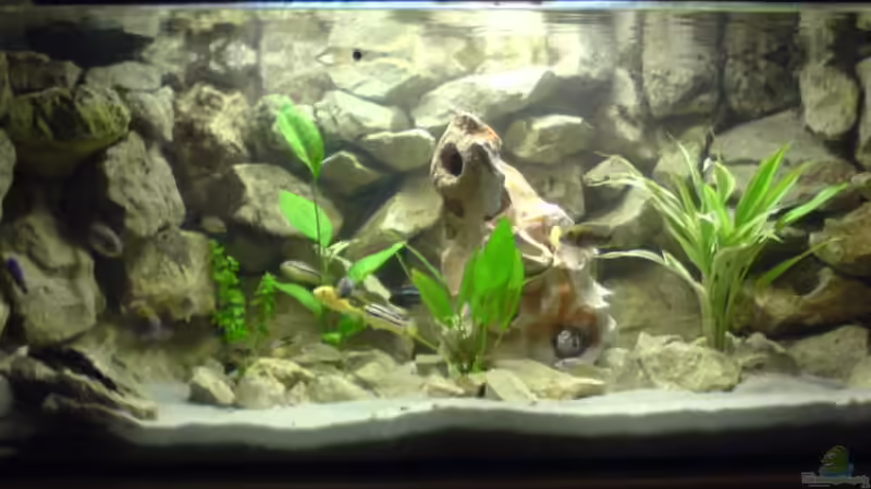 neue Beleuchtung von Christian Müller (1)