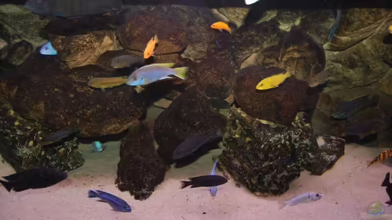 neue Beleuchtung von Roland Elsenbruch (8)