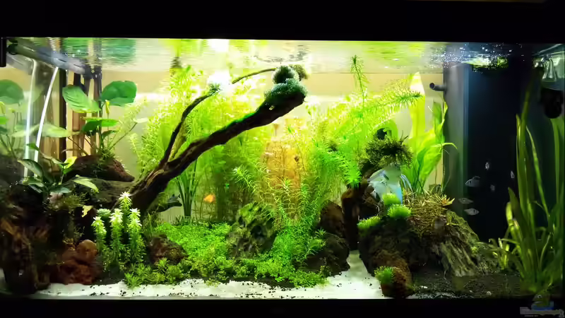 neue Bewohner sind eingezogen und scheinen sich wohl zu fuehlen von Sebastian Hartmann (64)