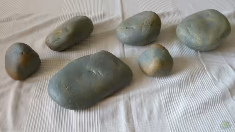 neue Deko -> Aqua Della Steine 21.02.15 von ~Marco~ (40)