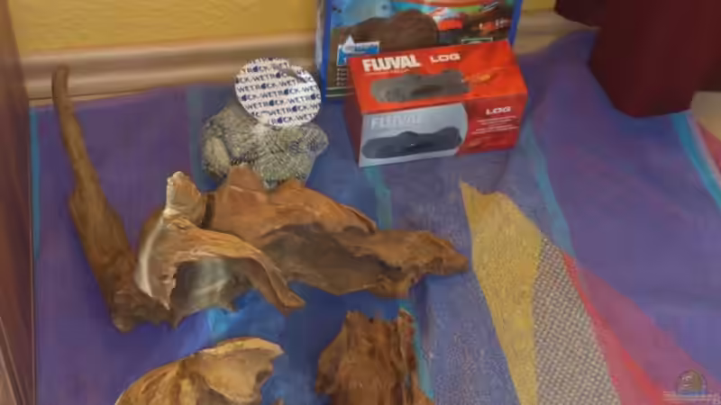 neue Deko ;) von Wall-E (23)