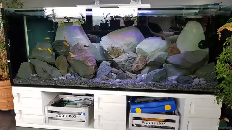 neue Einrichtung  von Thomas0902 (17)