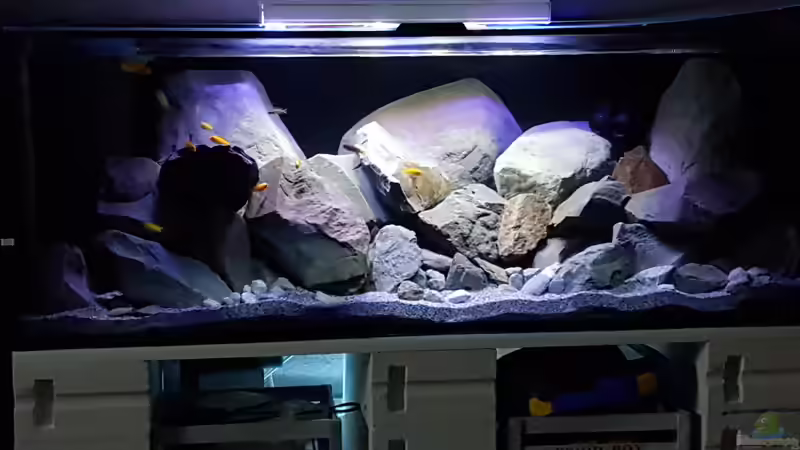 neue Einrichtung  von Thomas0902 (18)