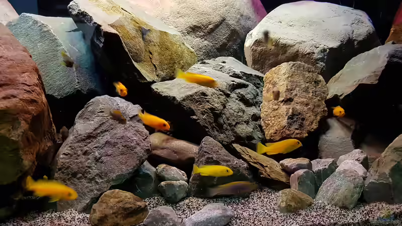 neue Einrichtung  von Thomas0902 (19)