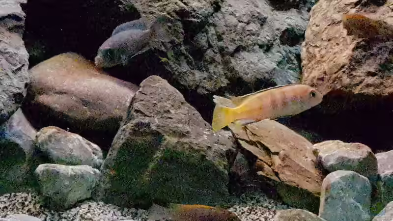 neue Einrichtung  von Thomas0902 (20)