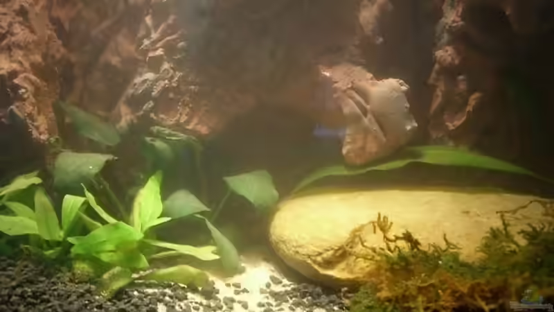 neue Einrichtung von Johannes (5)