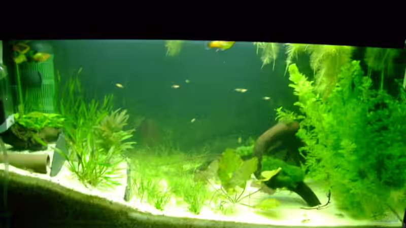 neue Fotos von Karin Wolff (5)